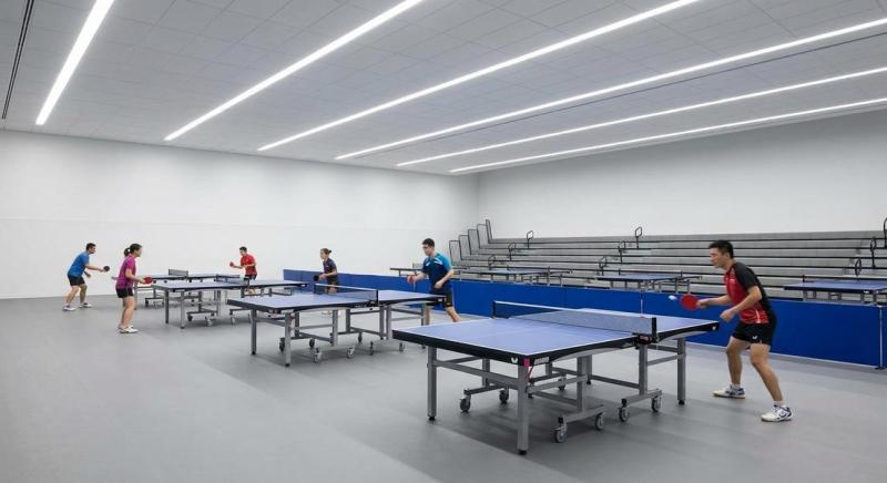 Perfectionnement au ping-pong, m&eacute;thodes pour progresser efficacement